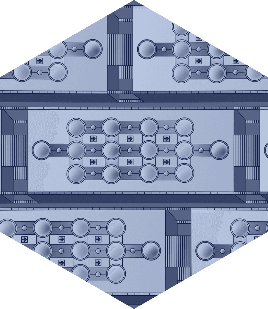 Reseau neurones